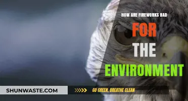 Fireworks' Environmental Impact: Pollution, Wildlife Harm, and Ecosystem Disruption Explained