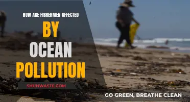 Ocean Pollution: Fishermen's Adversity and Challenges