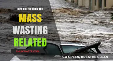 Flooding and Mass Wasting: Interconnected Hazards Shaping Landscapes