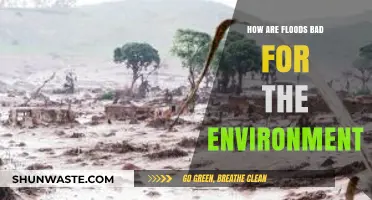 Floods' Devastating Environmental Impact: Erosion, Pollution, and Ecosystem Disruption