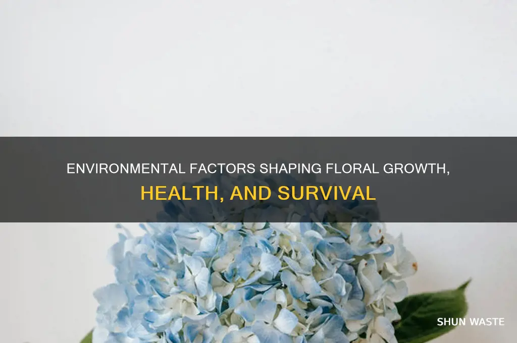 how are flowers impacted by the environment