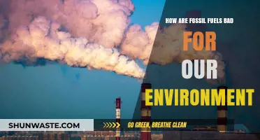 Fossil Fuels' Devastating Impact: Pollution, Climate Change, and Environmental Destruction