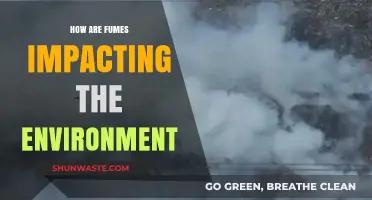 Toxic Fumes: Unveiling Their Devastating Environmental Impact and Consequences
