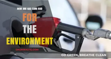 Gas Cars' Environmental Impact: Pollution, Emissions, and Climate Change Concerns