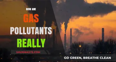 Gas Pollutants: A Silent, Deadly Danger