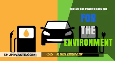Gas-Powered Cars: Environmental Impact and Sustainable Alternatives Explored