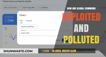 The Global Commons: Exploited and Polluted