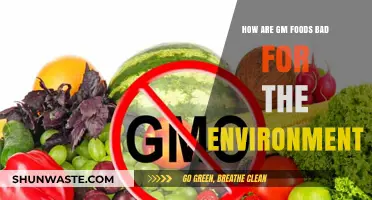 GM Foods' Environmental Impact: Harmful Effects on Ecosystems and Biodiversity