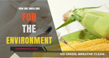 GMOs' Environmental Impact: Harmful Effects on Ecosystems and Biodiversity