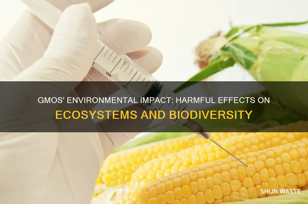 how are gmos bad for the environment
