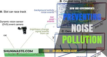 Governments' Strategies to Combat Noise Pollution