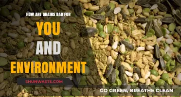 Grains' Hidden Costs: Health Risks and Environmental Impact Explained