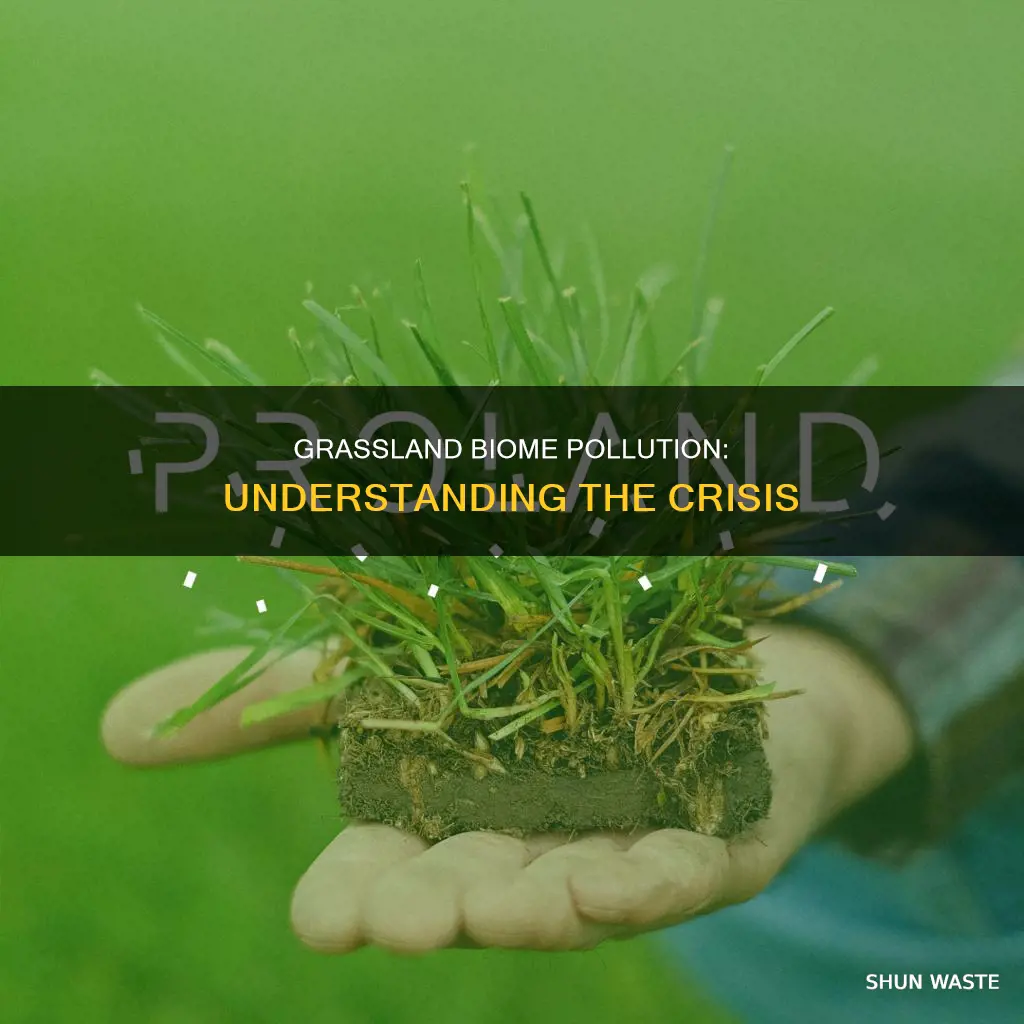 how are grassland biomes being polluted