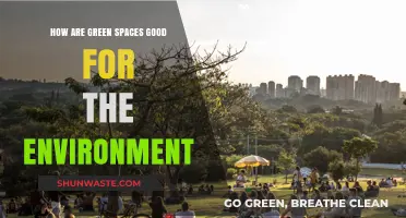Green Spaces: Environmental Benefits and Their Impact on Our Planet
