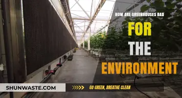 Greenhouses' Hidden Environmental Costs: Uncovering Their Ecological Impact