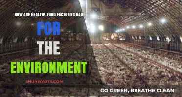 Healthy Food Factories: Uncovering Their Hidden Environmental Impact