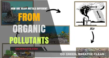 Heavy Metals vs. Organic Pollutants: Understanding Key Differences