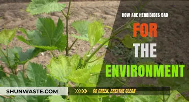 Herbicides' Hidden Harm: Environmental Impacts and Ecosystem Destruction Explained
