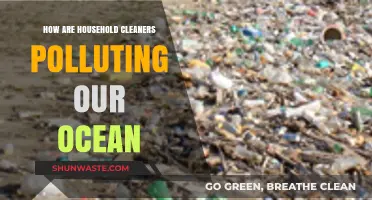 The Dark Side of Household Cleaners: Ocean Pollution