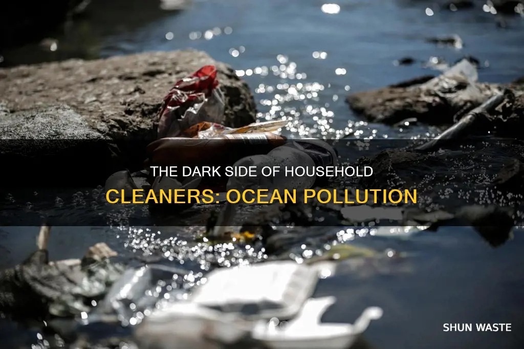 how are household cleaners polluting our ocean