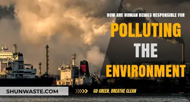 Human Impact: Polluting Our Environment