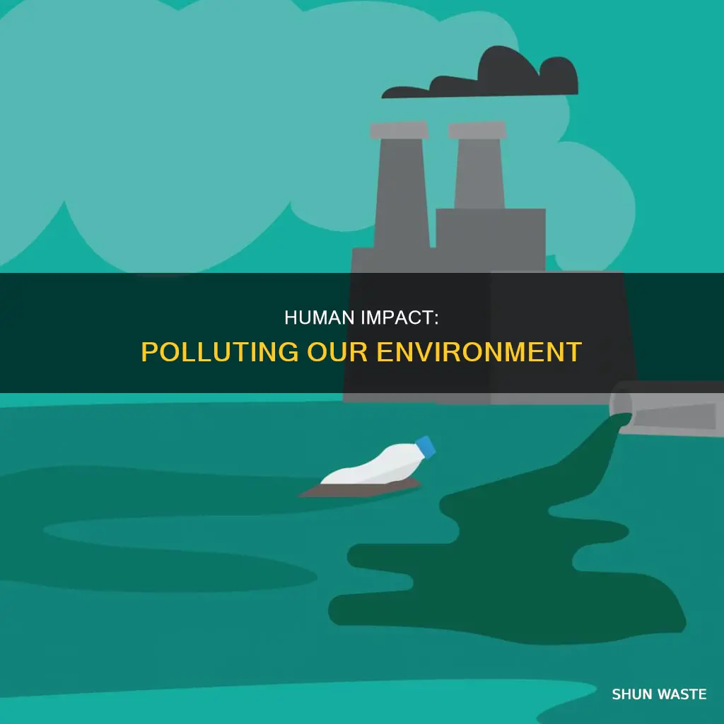 how are human beings responsible for polluting the environment
