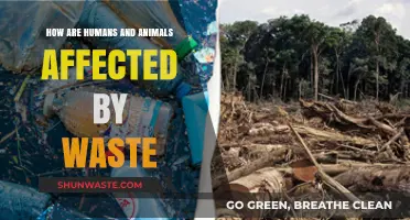 Waste's Impact: How Humans and Animals Suffer from Pollution