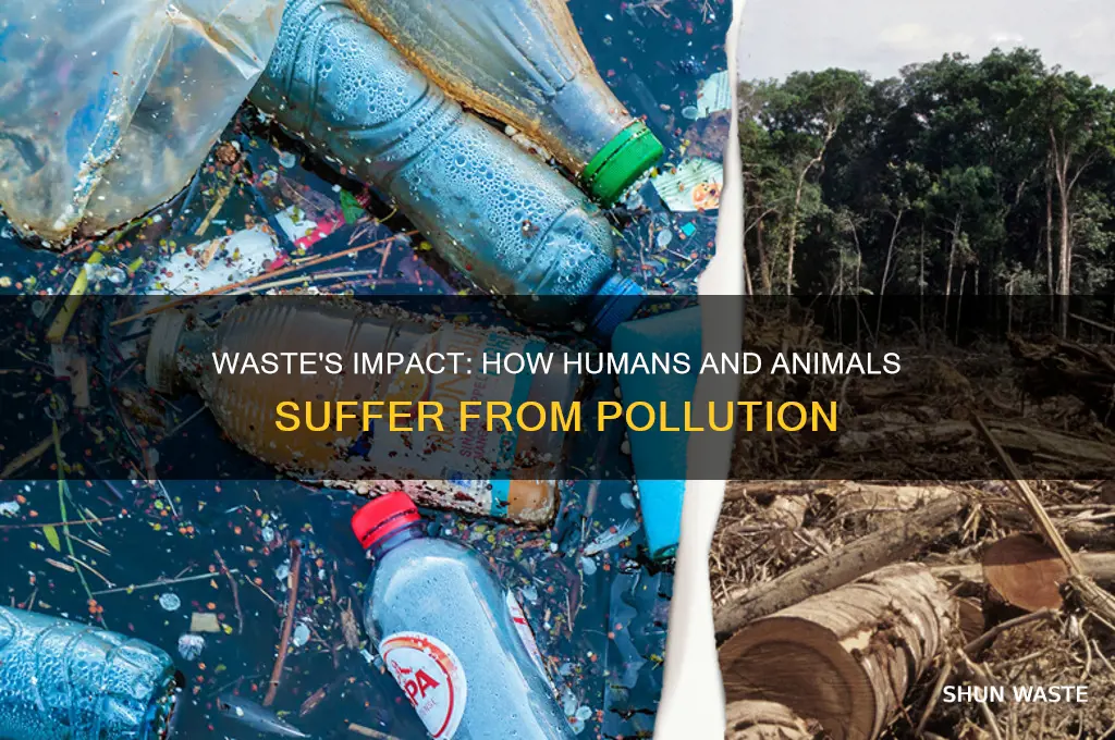 how are humans and animals affected by waste