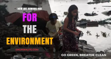 Human Impact: Destructive Habits Harming Our Planet's Fragile Ecosystems