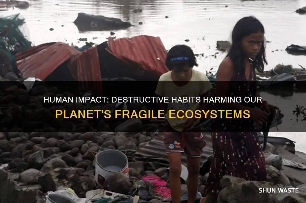 how are humans bad for the environment
