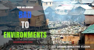 Human Impact: Destructive Habits Harming Our Fragile Ecosystems and Planet