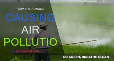 Human Activities: The Hidden Culprits Behind Air Pollution