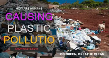 Human Impact: Unraveling the Plastic Pollution Crisis