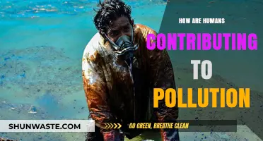 Human Impact: Pollution's Persistent Problem