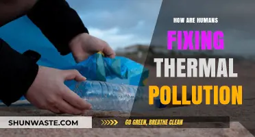 Thermal Pollution: Human Solutions and Innovations