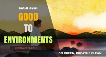 Humans as Eco-Stewards: Positive Impacts on Our Environment