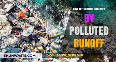 The Impact of Polluted Runoff on Human Health