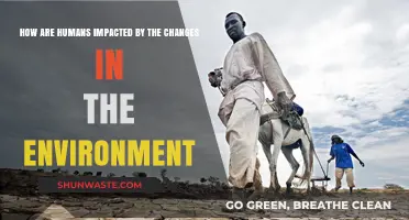 Environmental Shifts: Understanding Human Impact and Adaptation Strategies