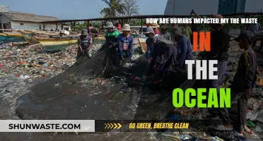 Ocean Waste Crisis: How Human Health and Ecosystems Are Affected
