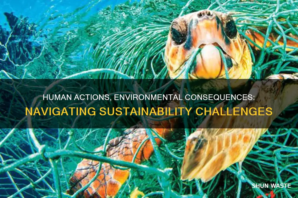how are humans impacting the environment and sustainability