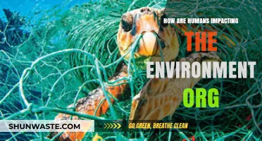 Human Actions and Their Impact on the Environment Organization
