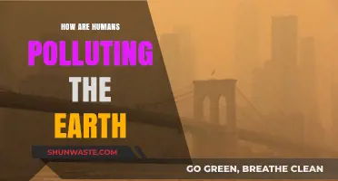 Human Impact: Polluting Our Earth