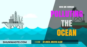 Human Impact: Ocean Pollution and its Devastating Effects