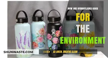 Eco-Friendly Hydration: How Hydroflasks Benefit Our Planet