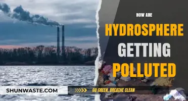 The Hydrosphere's Pollution: Understanding the Crisis
