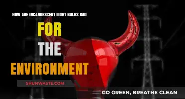 Incandescent Bulbs' Environmental Impact: Energy Waste and Pollution Concerns