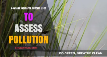 Indicator Species: Pollution's Canary in the Coal Mine