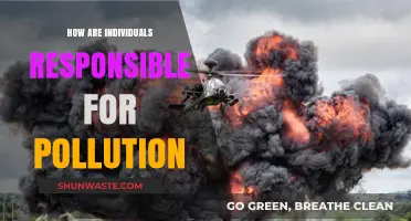 Human Impact: Pollution's Cause and Effect