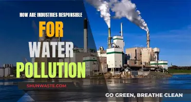 Industrial Water Pollution: A Global Crisis