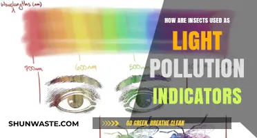 Insects: Unsung Light Pollution Indicators
